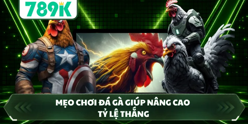 Mẹo chơi đá gà giúp nâng cao tỷ lệ thắng