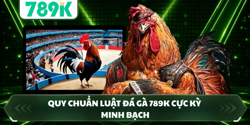 Quy chuẩn luật đá gà 789K cực kỳ minh bạch